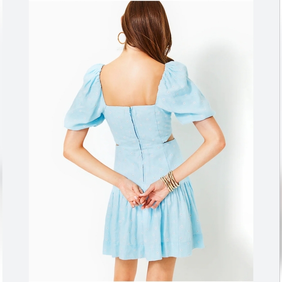 NWT Lilly Pulitzer Kylanne Drive Me Daisy Linen Dress - Picture 6 of 16